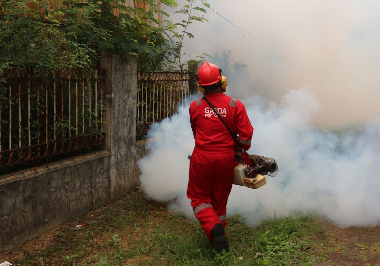 Pest Control Upclean